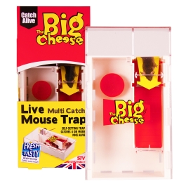 Live Multi 4 Catch Mouse Trap - Brunnings