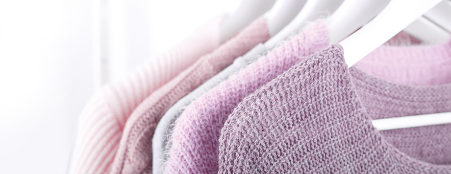 Clothes Moth Mythbusting